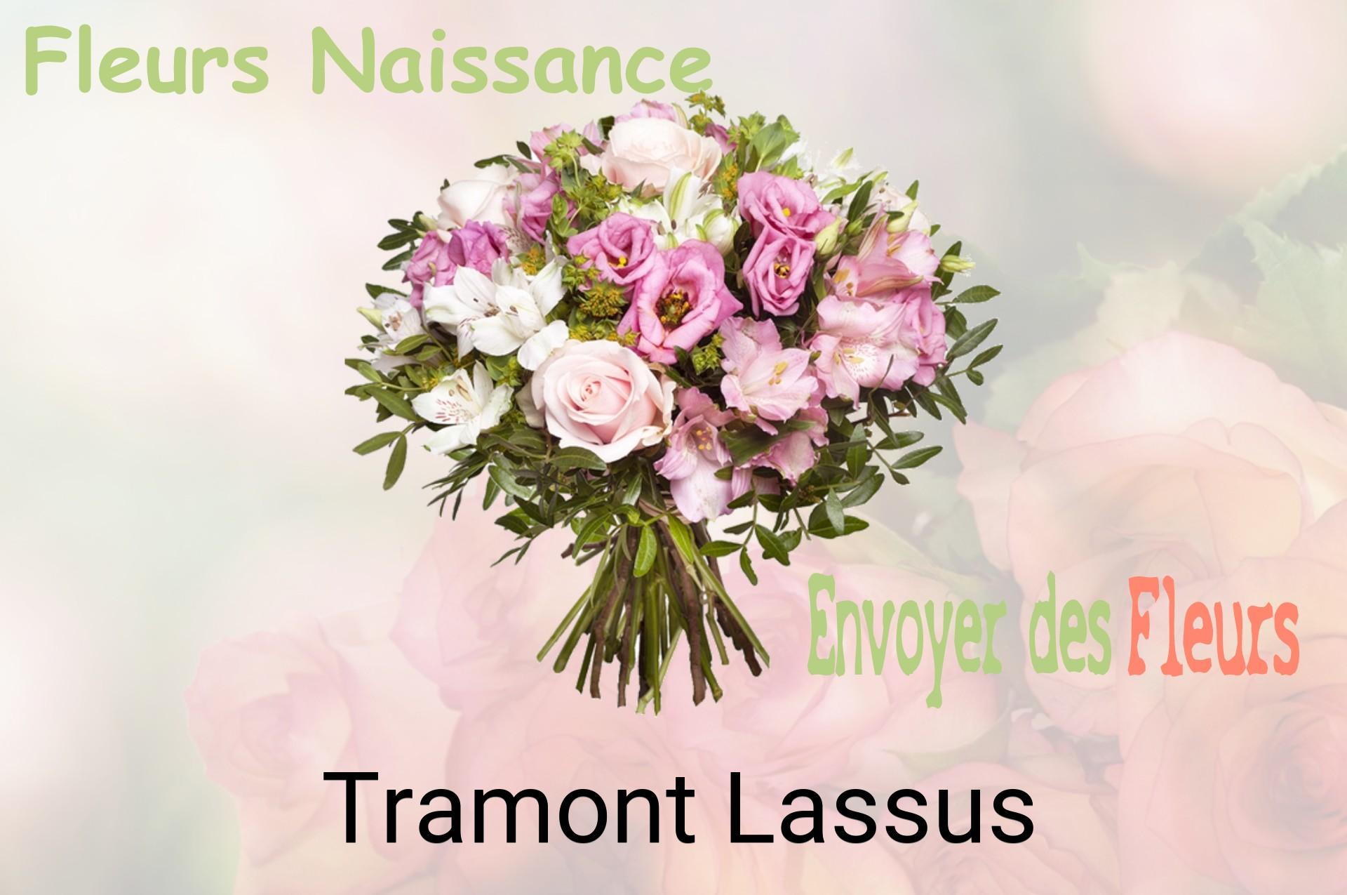 Bouquet de fleurs de naissance livré à Tramont-Lassus